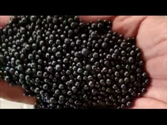 Línea de producción de fertilizantes orgánicos