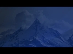 Soluciones de compostaje de fertilizantes orgánicos naturales: volteador de compost tipo ranura, volteador de hileras y Ferme