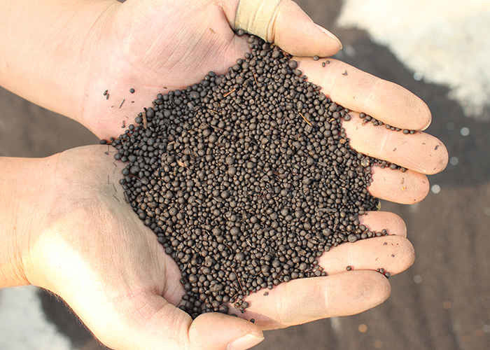 línea de producción de granulador de estiércol animal