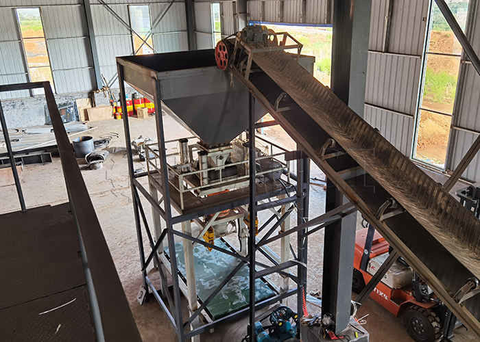 Línea de fabricación de fertilizantes compuestos de tamaño 2-10 mm con granulador de extrusión de doble rodillo