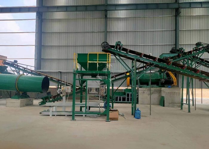 Planta de granulador de estiércol tipo bola Línea de producción de fertilizantes orgánicos